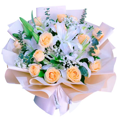 安康16朵香槟玫瑰2支百合，爱的温暖和幸福