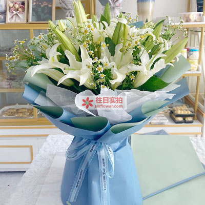 安康8支白色多头百合洋甘菊,互倾的思念